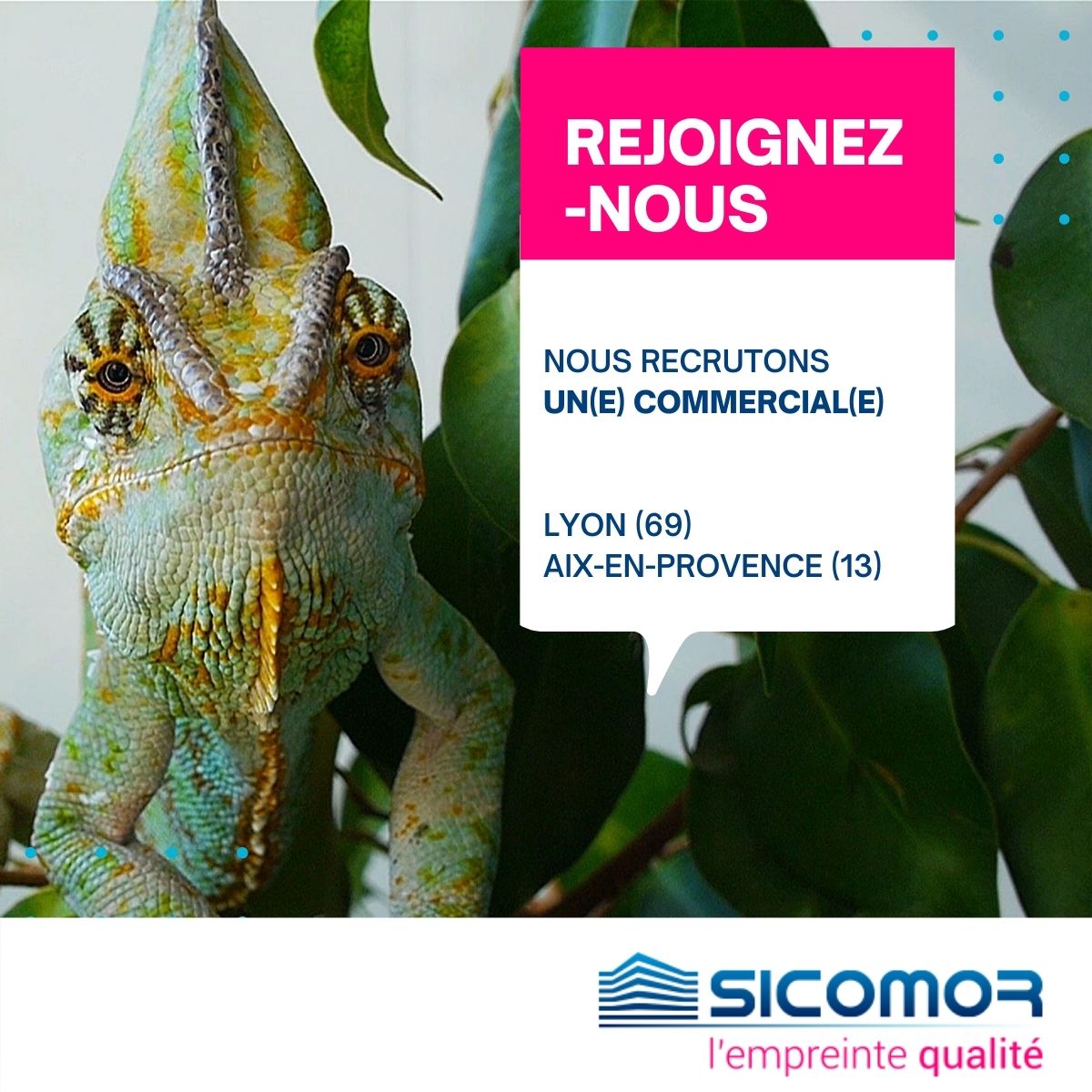 Image recrutement commercial